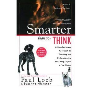 Smarter Than You Think: A Revolutionary Approach to Teaching and Understanding Y